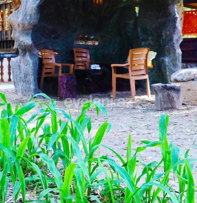 Sale, object, 100 m², Baku, Khazar r.