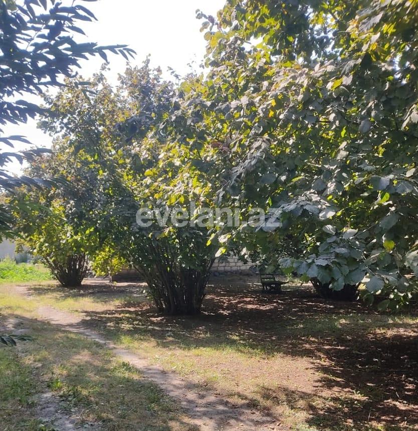 Satılır, həyət evi / bağ, 2 otaqlı, 136 m², Qəbələ