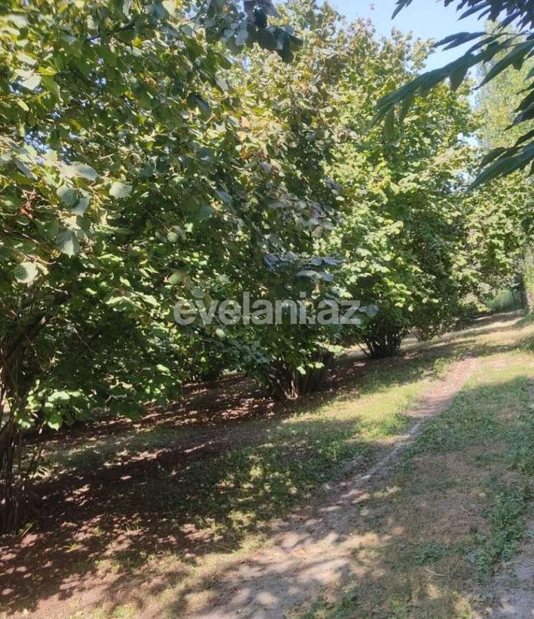 Satılır, həyət evi / bağ, 2 otaqlı, 136 m², Qəbələ