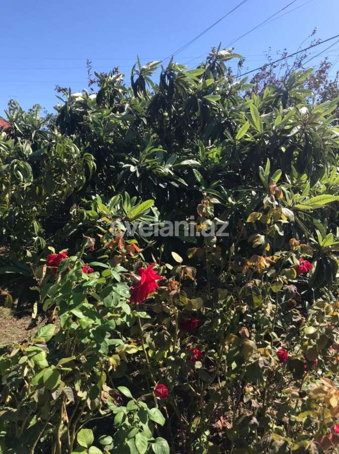 Satılır, həyət evi / bağ, 4 otaqlı, 70 m², Bakı, Sabunçu r, Savalan q.