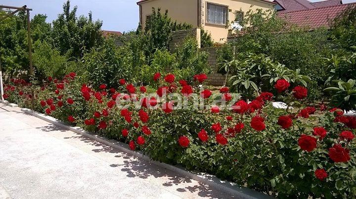 Satılır, həyət evi / bağ, 4 otaqlı, 70 m², Bakı, Sabunçu r, Savalan q.