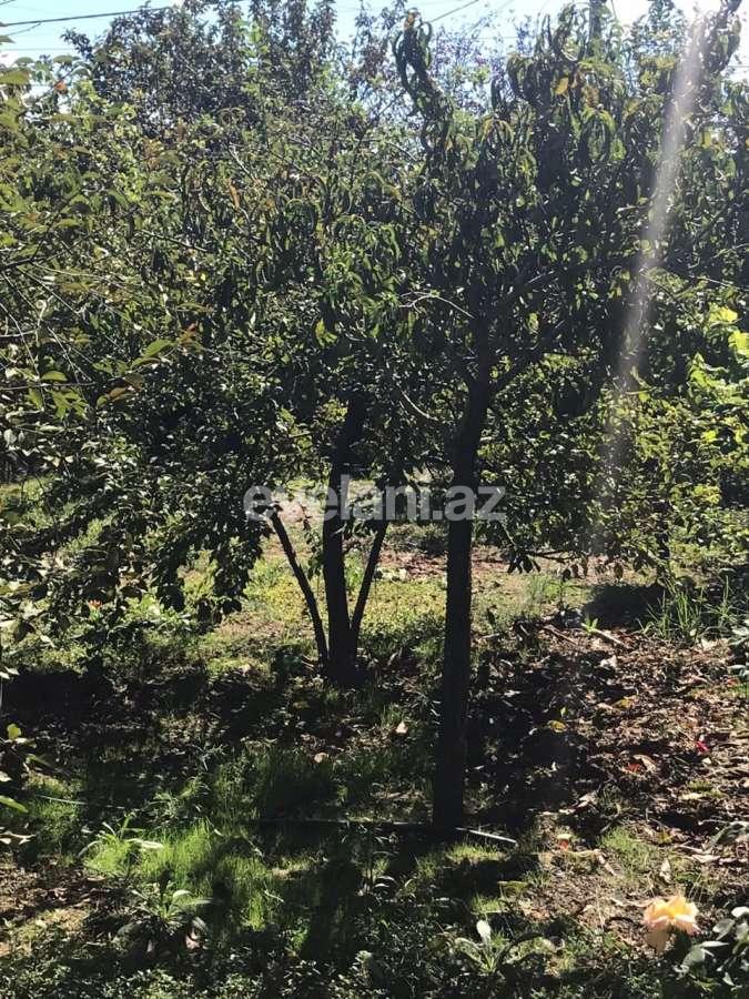 Satılır, həyət evi / bağ, 4 otaqlı, 70 m², Bakı, Sabunçu r, Savalan q.