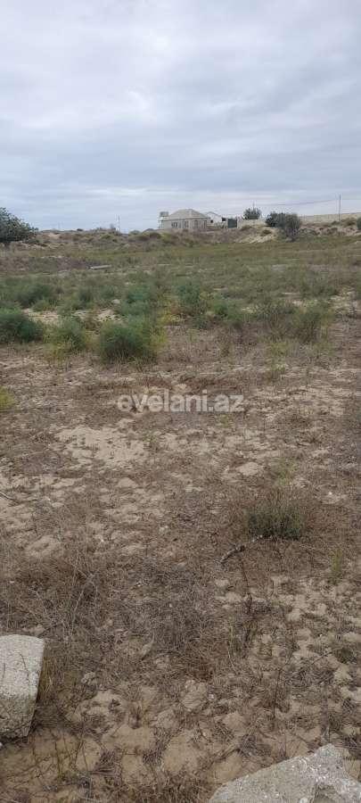 Satılır, torpaq, 12 sot, Bakı, Sabunçu r, Nardaran q.