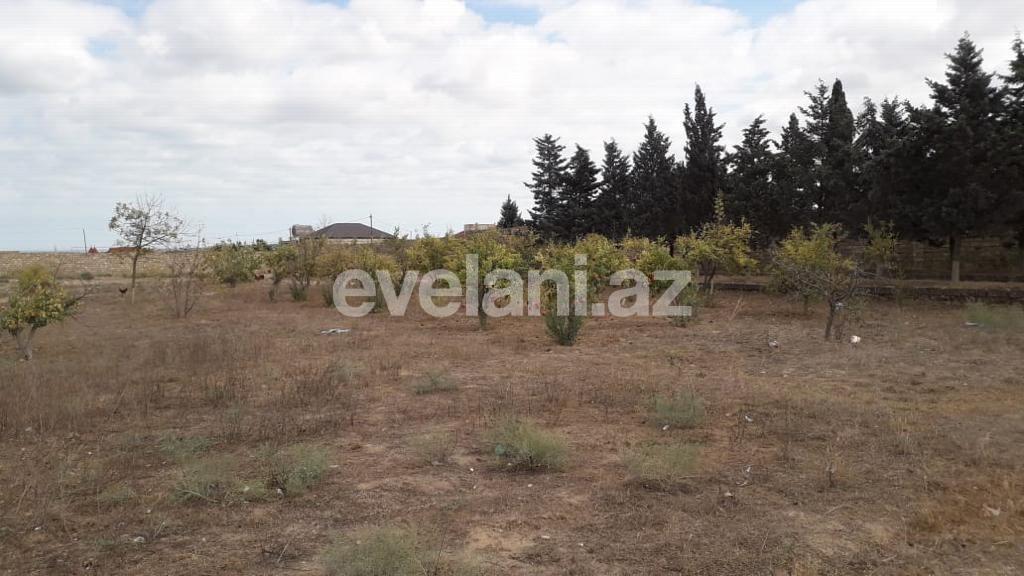 Satılır, torpaq, 12 sot, Bakı, Sabunçu r, Nardaran q.