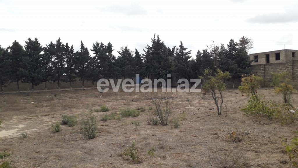 Satılır, torpaq, 12 sot, Bakı, Sabunçu r, Nardaran q.