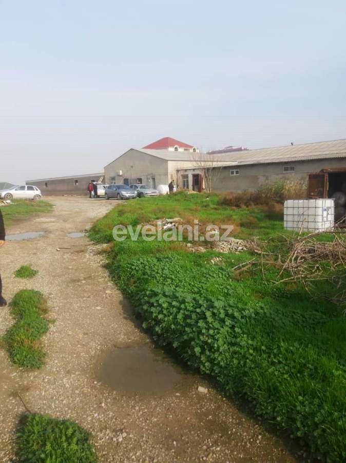 Satılır, torpaq, 80 sot, Bakı, Abşeron r, Masazır q.