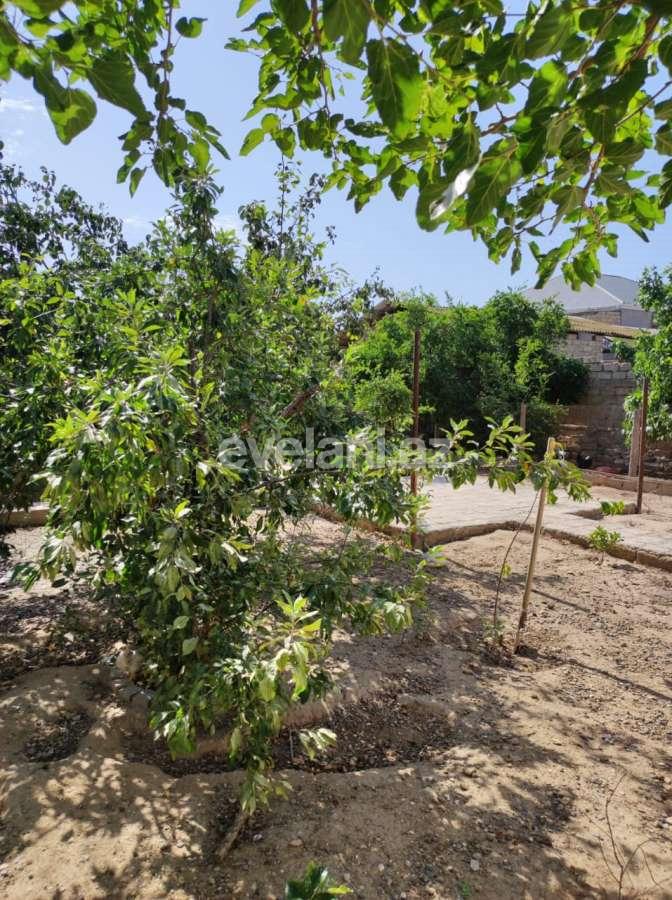 Продаётся, дом / дача, 4-комнаты, 220 m², Баку, Хазарский r, Бина p.