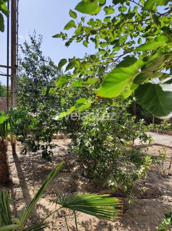 Продаётся, дом / дача, 4-комнаты, 220 m², Баку, Хазарский r, Бина p.