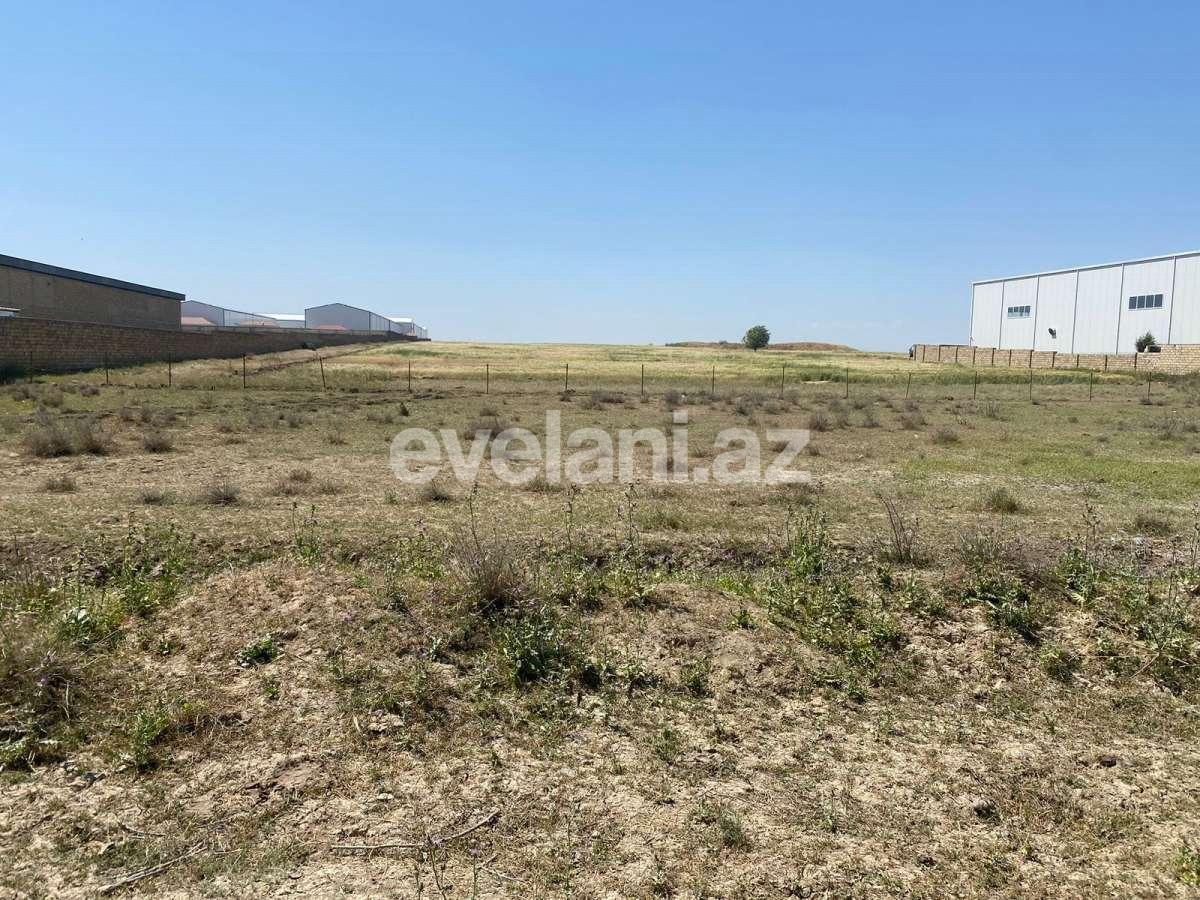 Satılır, torpaq, 500 sot, Bakı, Abşeron r, Müşviqabad q.