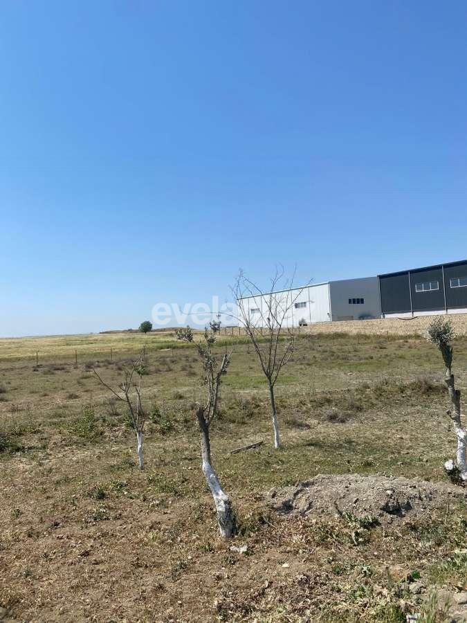 Satılır, torpaq, 500 sot, Bakı, Abşeron r, Müşviqabad q.