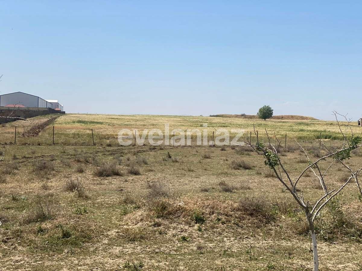 Satılır, torpaq, 500 sot, Bakı, Abşeron r, Müşviqabad q.