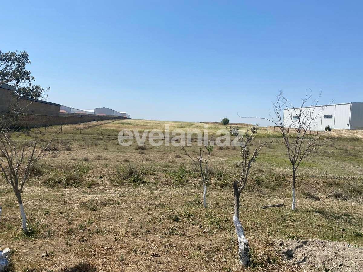 Satılır, torpaq, 500 sot, Bakı, Abşeron r, Müşviqabad q.