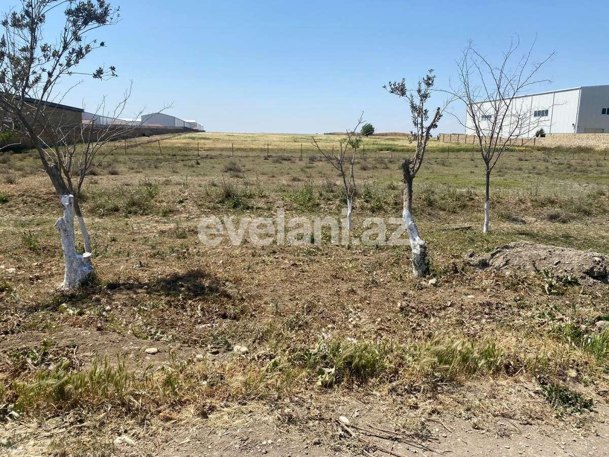 Satılır, torpaq, 500 sot, Bakı, Abşeron r, Müşviqabad q.