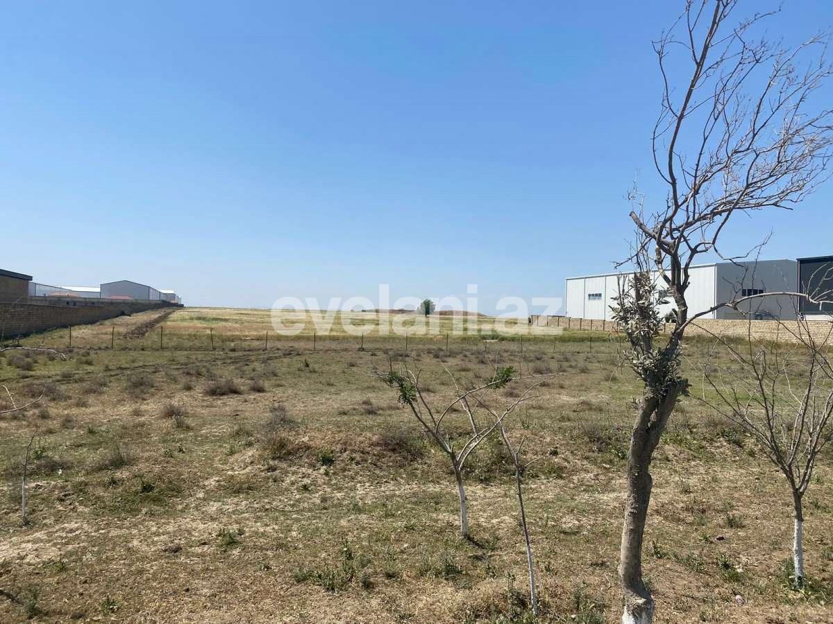 Satılır, torpaq, 500 sot, Bakı, Abşeron r, Müşviqabad q.