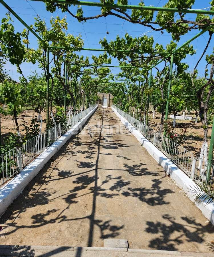 Satılır, torpaq, 52 sot, Xəzər r.