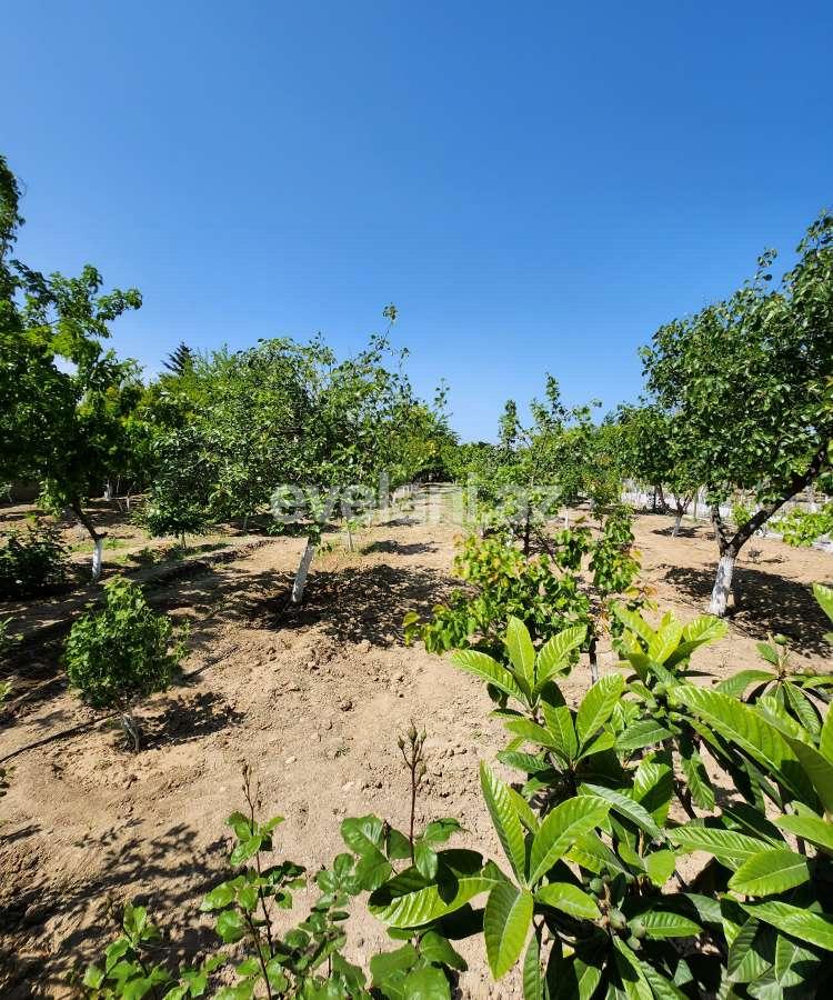 Satılır, torpaq, 52 sot, Xəzər r.