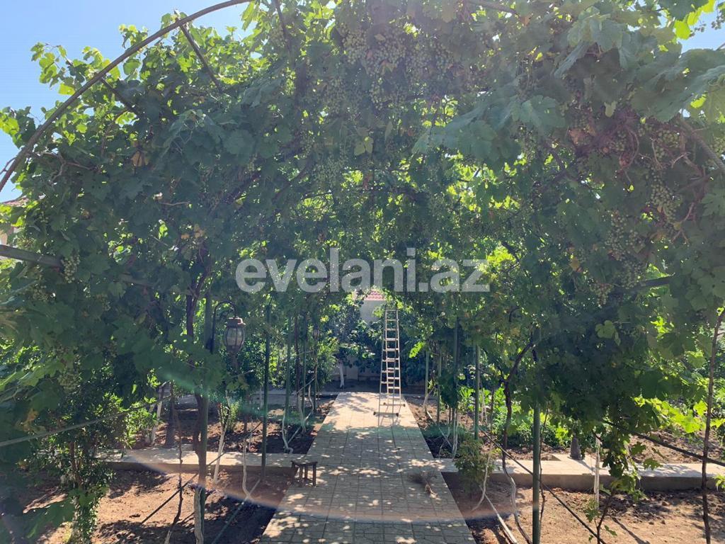 Sale, garden / house, 3 room, 100 m², Baku, Absheron r, Novkhani d.