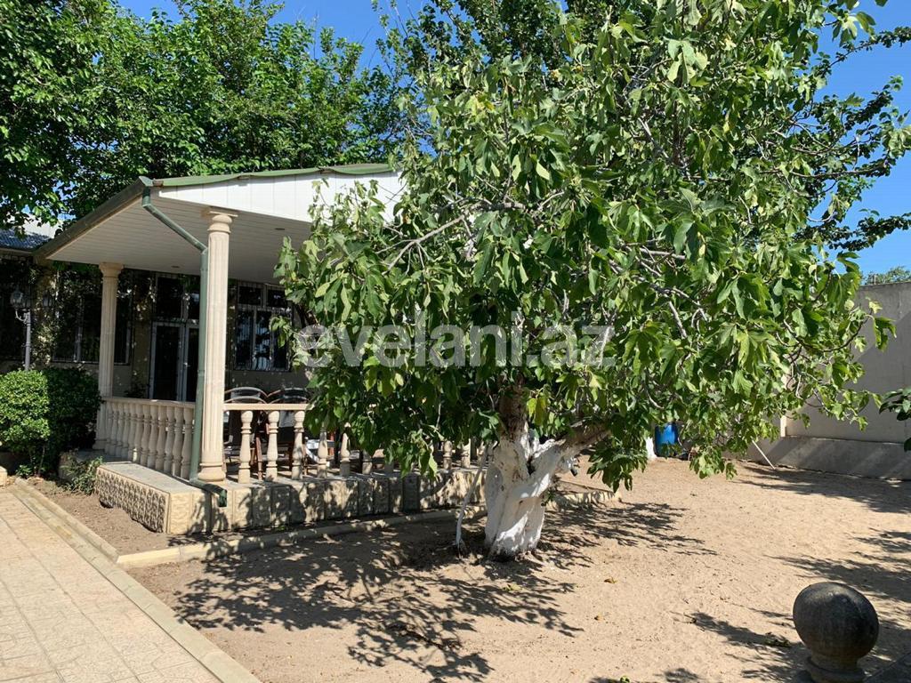 Sale, garden / house, 3 room, 100 m², Baku, Absheron r, Novkhani d.