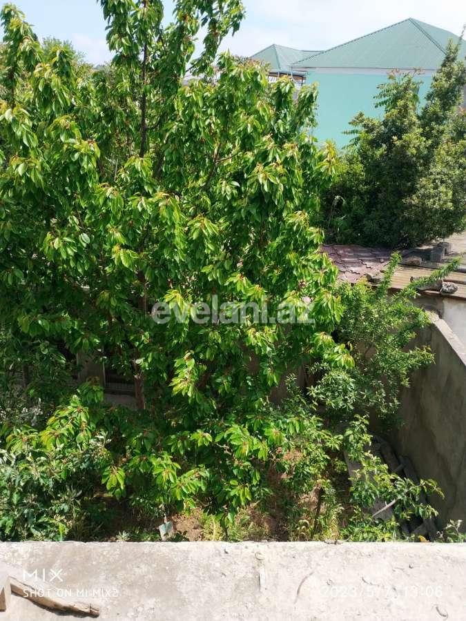 Satılır, torpaq, 24 sot, Qəbələ