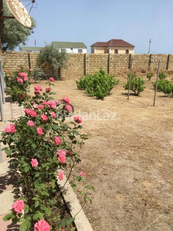 Sale, land, 32 ar, Baku, Absheron r, Novkhani d.