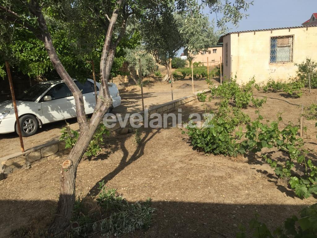 Sale, land, 32 ar, Baku, Absheron r, Novkhani d.