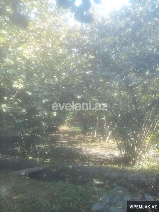 Satılır, həyət evi / bağ, 5 otaqlı, 100 m², Xaçmaz