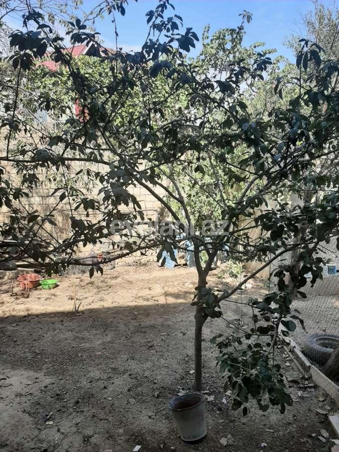 Satılır, həyət evi / bağ, 7 otaqlı, 236 m², Bakı, Abşeron r.