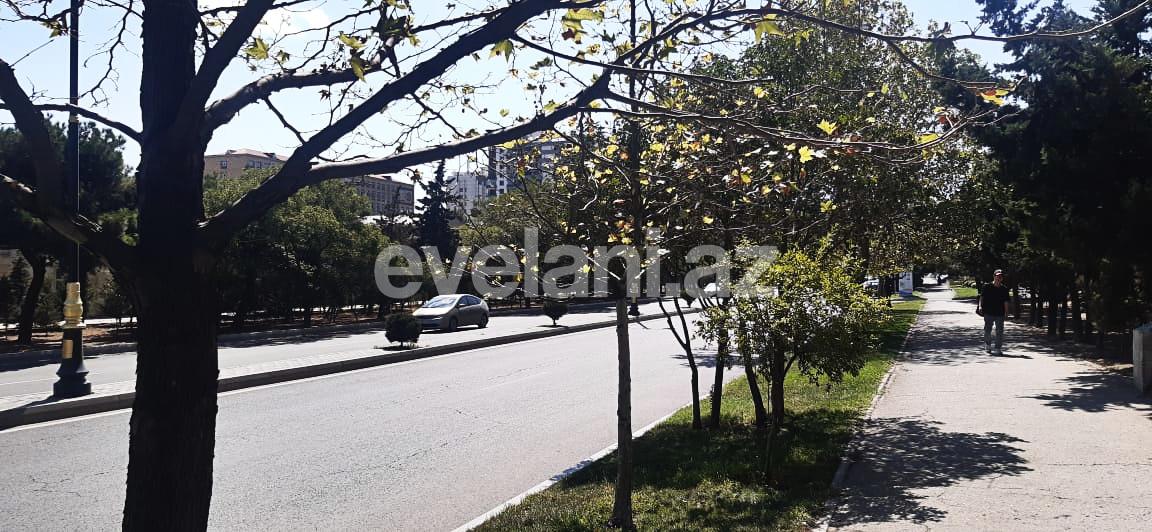 Rent, new building, 2 room, 110.5 m², Baku, Yasamal r.