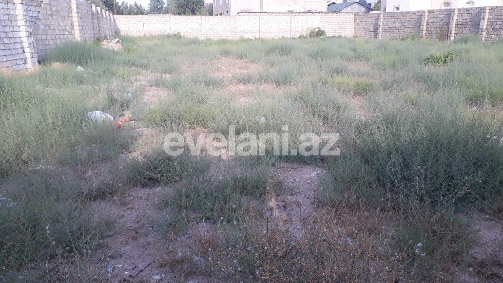 Sale, land, 12 ar, Baku, Khazar r, Mardakan d.