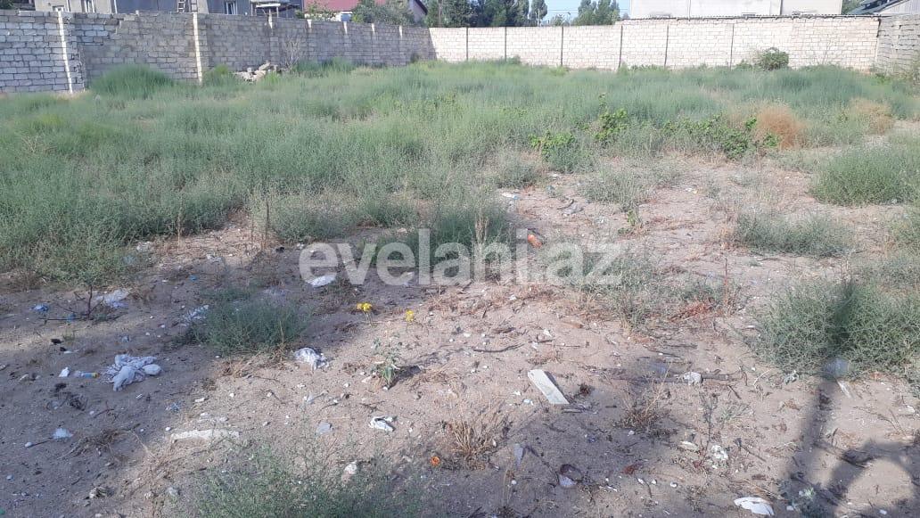 Sale, land, 12 ar, Baku, Khazar r, Mardakan d.