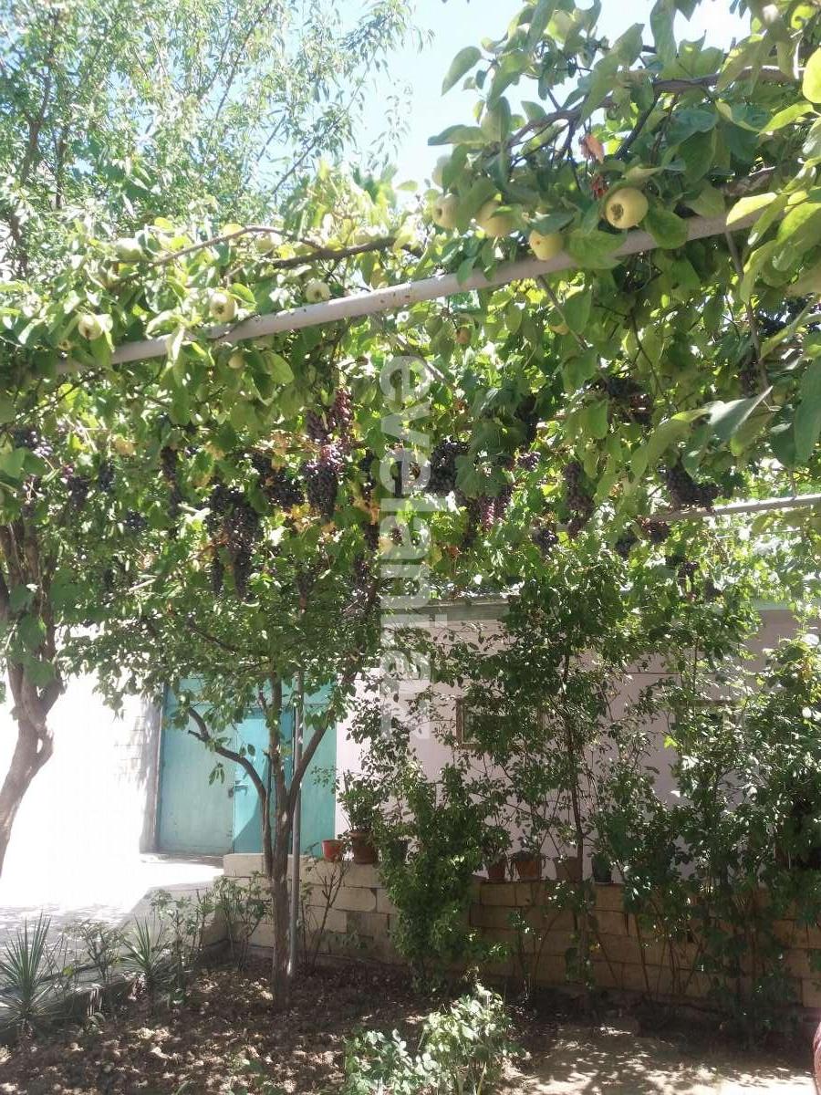 Satılır, həyət evi / bağ, 5 otaqlı, 146 m², Şamaxı