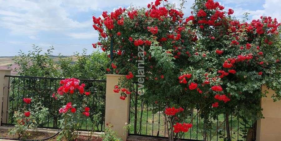 Satılır, həyət evi / bağ, 5 otaqlı, 162 m², Şamaxı