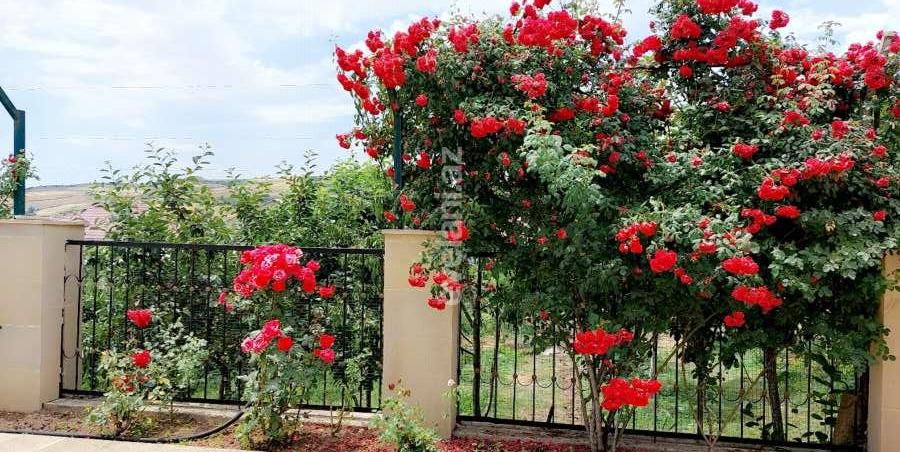 Satılır, həyət evi / bağ, 5 otaqlı, 162 m², Şamaxı