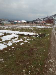 Satılır, torpaq, 12 sot, Şamaxı