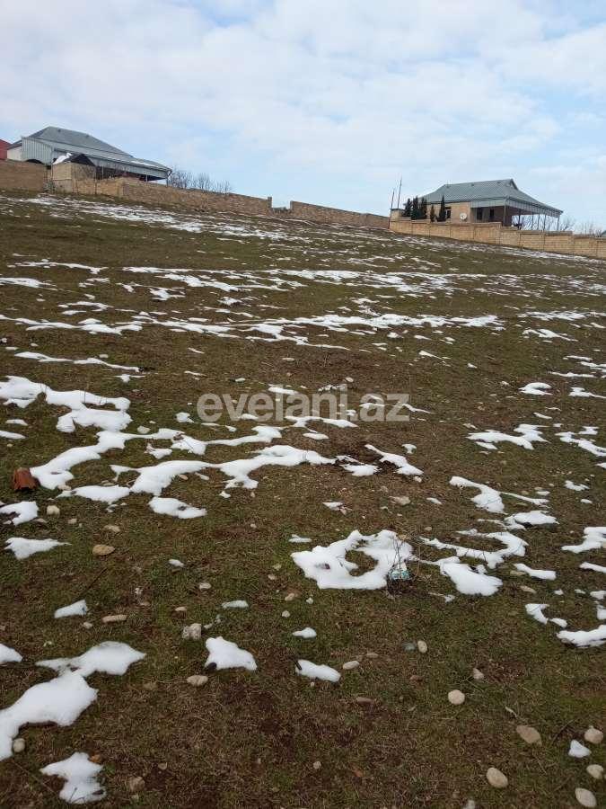 Satılır, torpaq, 12 sot, Şamaxı