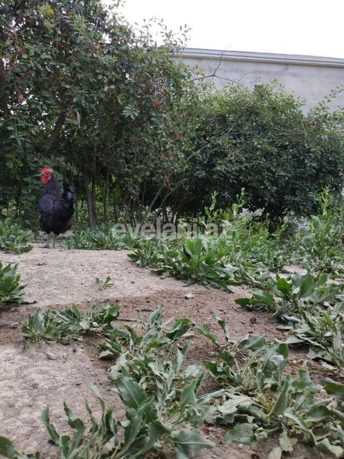 Satılır, torpaq, 16 sot, Bakı, Xətai r, Əhmədli q.