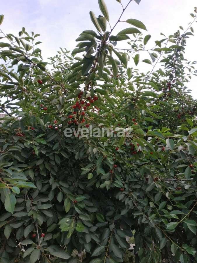 Satılır, torpaq, 16 sot, Bakı, Xətai r, Əhmədli q.