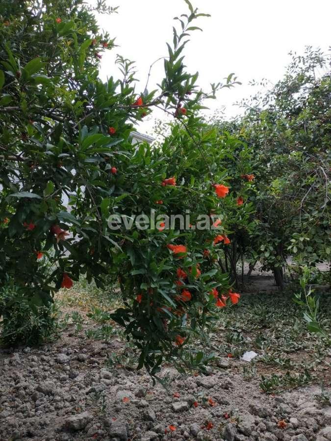 Satılır, torpaq, 16 sot, Bakı, Xətai r, Əhmədli q.