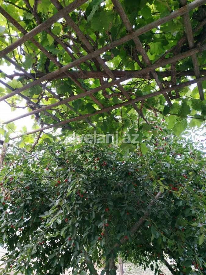 Satılır, torpaq, 16 sot, Bakı, Xətai r, Əhmədli q.