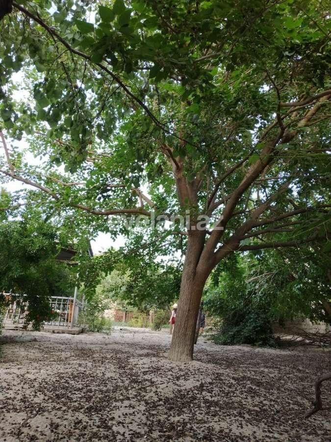 Satılır, torpaq, 16 sot, Bakı, Xətai r, Əhmədli q.