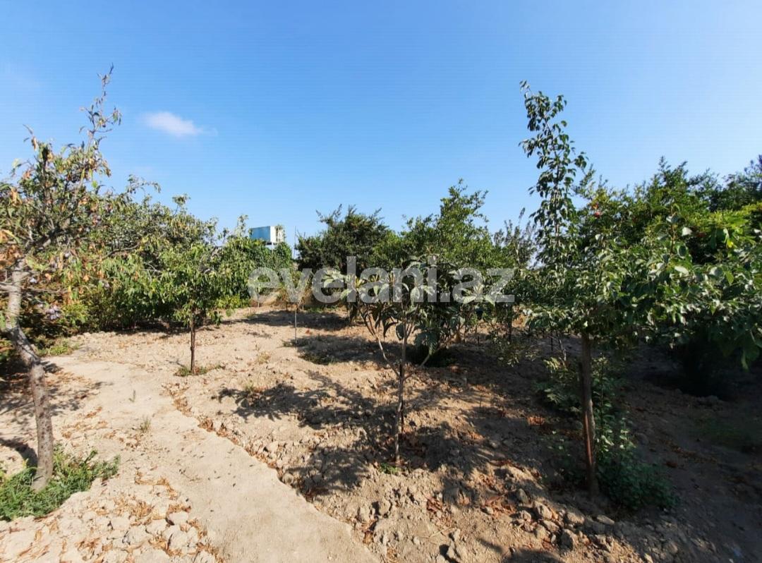 Satılır, həyət evi / bağ, 3 otaqlı, 169 m², Bakı, Abşeron r, Görədil q.