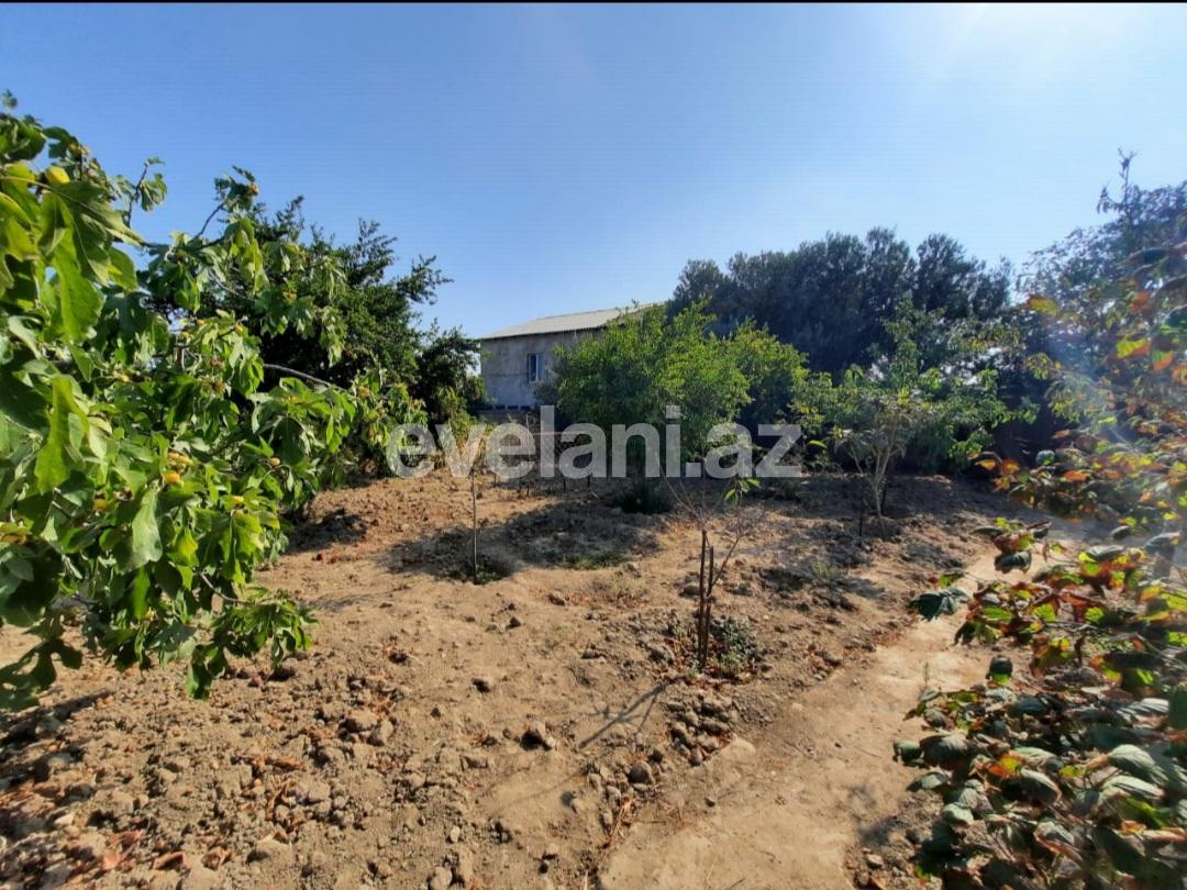Satılır, həyət evi / bağ, 3 otaqlı, 169 m², Bakı, Abşeron r, Görədil q.
