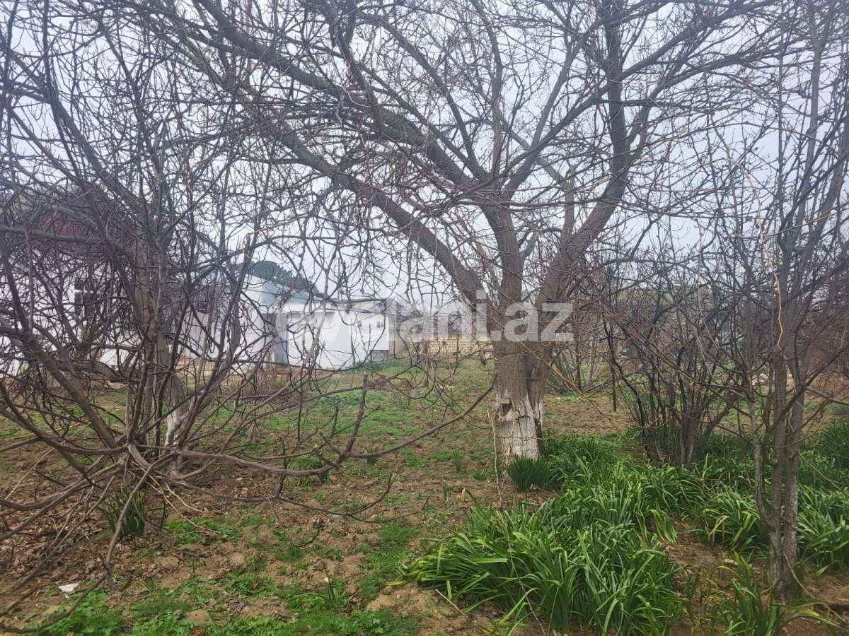 Satılır, həyət evi / bağ, 3 otaqlı, 99.99 m², Bakı, Abşeron r, Görədil q.