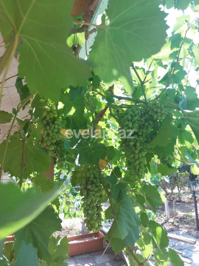 Satılır, həyət evi / bağ, 4 otaqlı, 120 m², Bakı, Abşeron r, Görədil q.