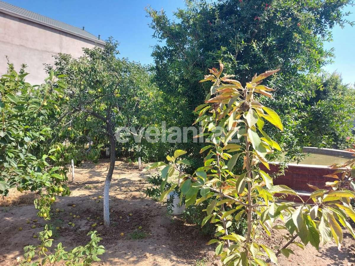 Satılır, həyət evi / bağ, 4 otaqlı, 120 m², Bakı, Abşeron r, Görədil q.