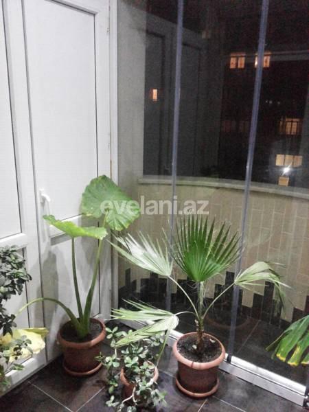 Kirayə verilir, yeni tikili, 3 otaqlı, 140 m², Bakı, Nərimanov r, Nəriman Nərimanov m.