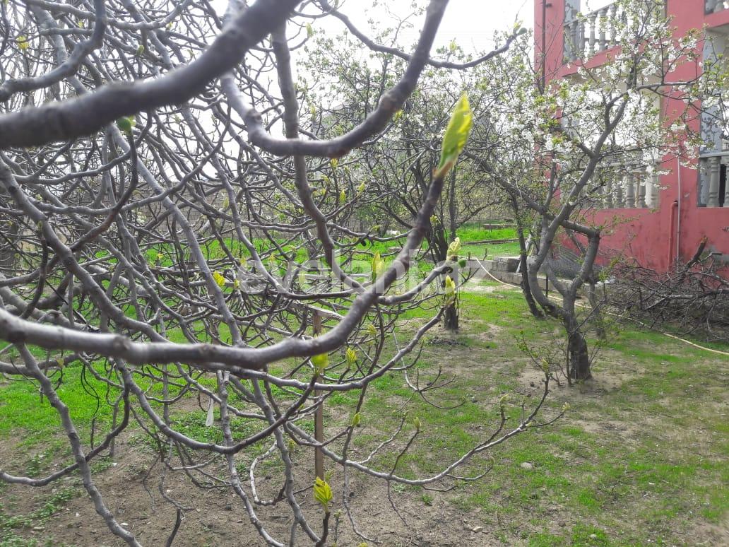 Продаётся, дом / дача, 5-комнаты, 208 m², Баку, Абшеронcкий r, Горадил p.