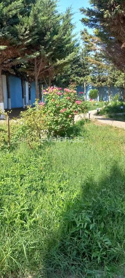 Satılır, torpaq, 12 sot, Bakı, Sabunçu r.