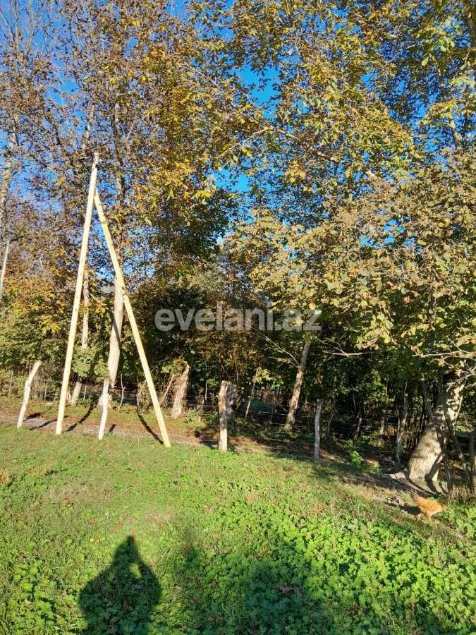 Satılır, torpaq, 50 sot, Qəbələ