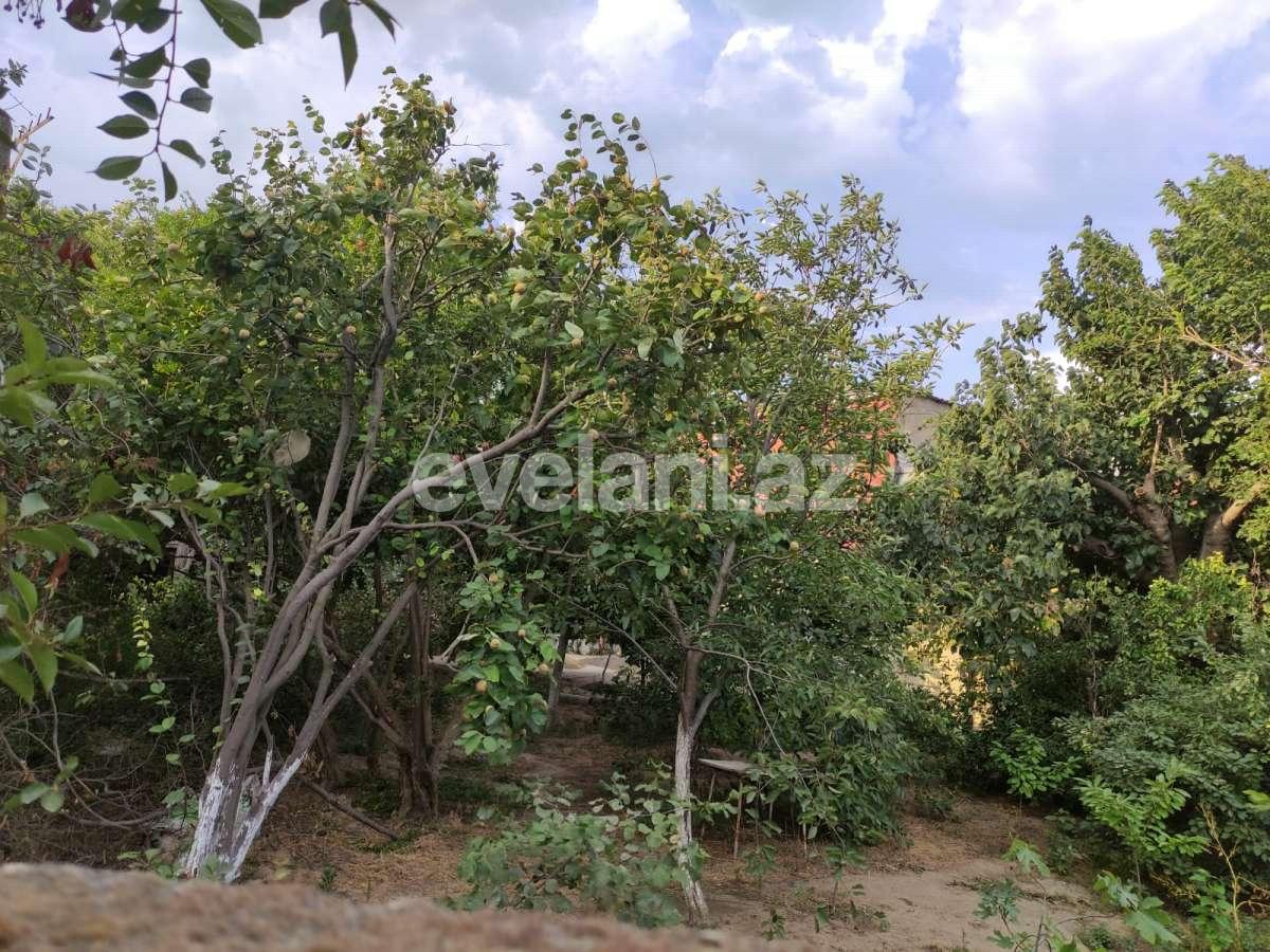 Satılır, torpaq, 16 sot, Bakı, Binəqədi r, M. Rəsulzadə q, Azadlıq prospekti m.